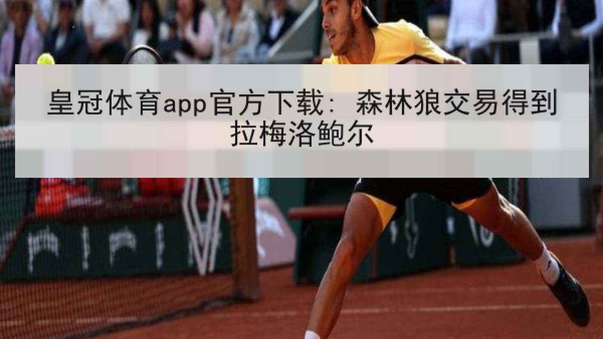 皇冠体育app官方下载: 森林狼交易得到拉梅洛鲍尔 皇冠体育app官方下载: 森林狼交易得到拉梅洛鲍尔